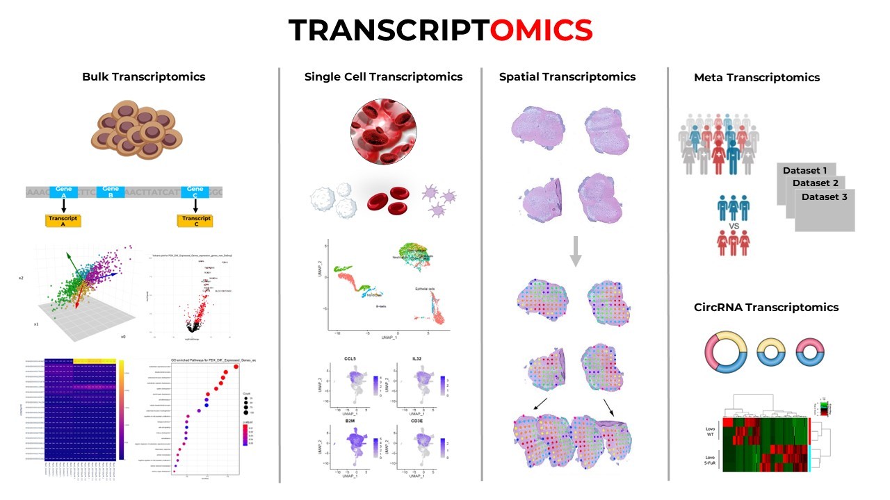 Unveiling the Diversity of Transcriptomic Studies: Types, Case Studies, and Learning Resources